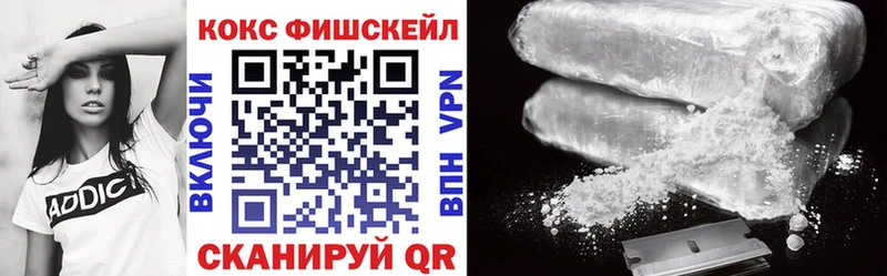 Кокаин FishScale  дарнет шоп  Рубцовск 