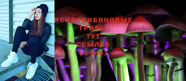 круглые Алексеевка