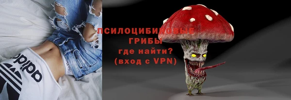 круглые Алексеевка