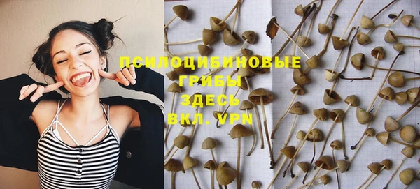 круглые Алексеевка